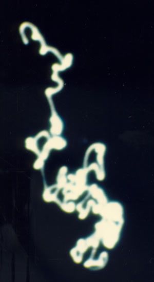 CALIGRAFÍA CÓSMICA DEL MENSAJE